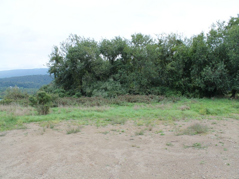 1723_0195.jpg