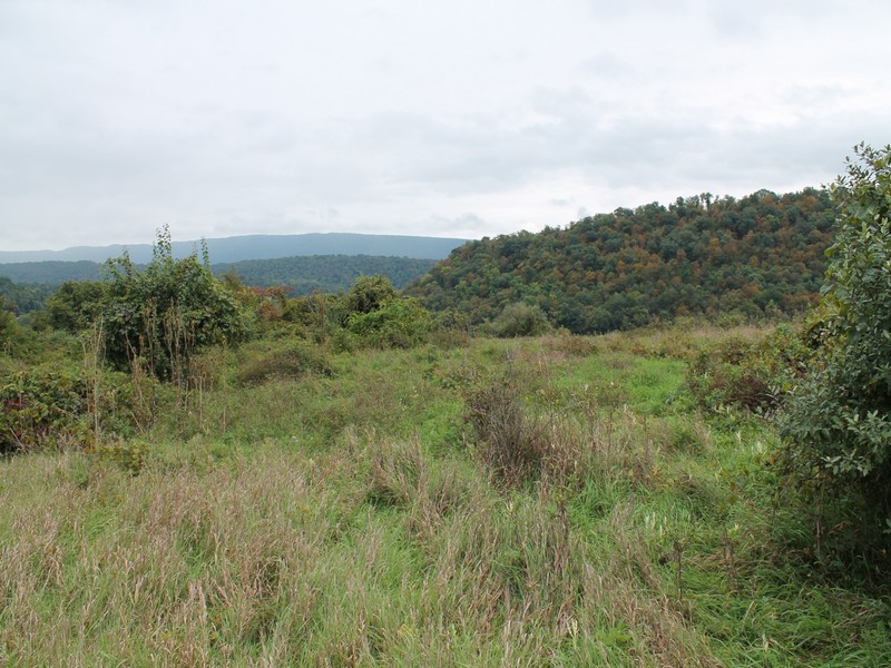 1723_0199.jpg