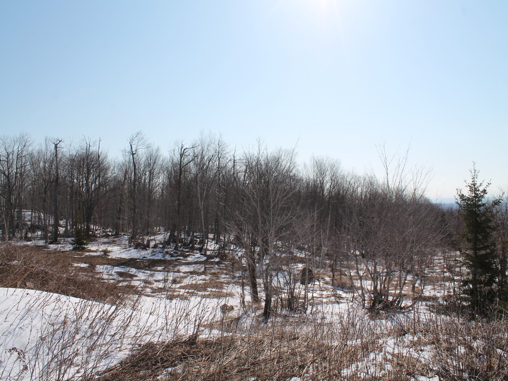 1772_0162.jpg