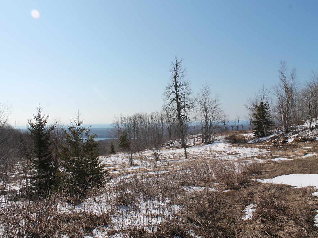 1772_0163.jpg