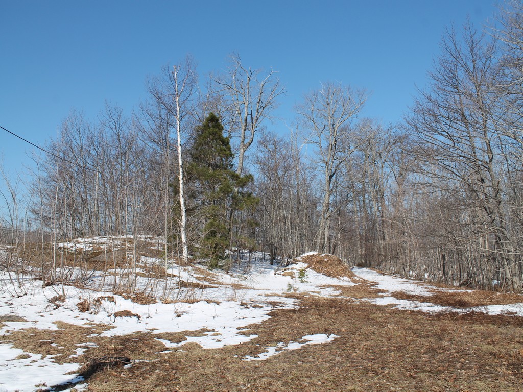 1772_0199.jpg