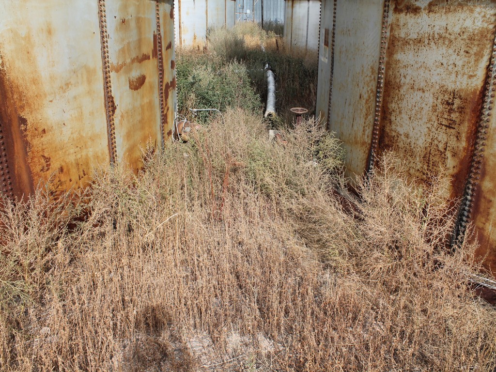 1773_0649.jpg