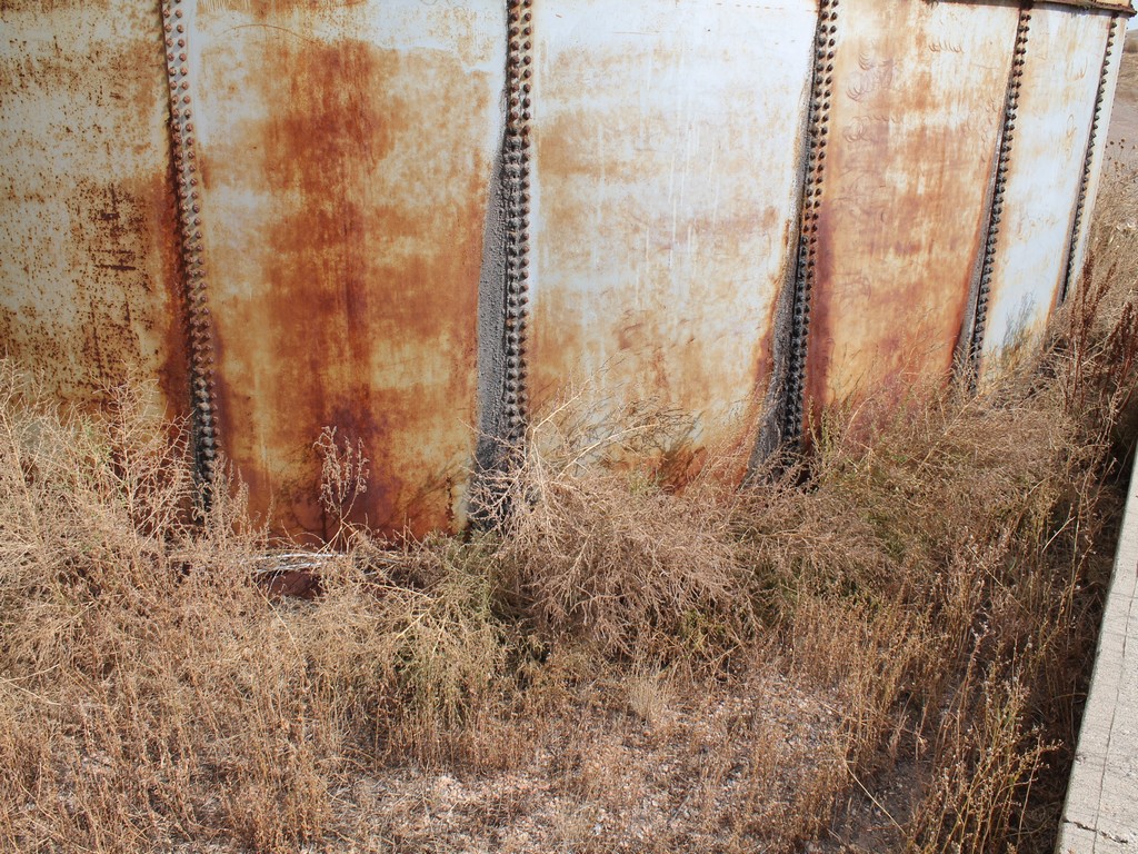 1773_0650.jpg