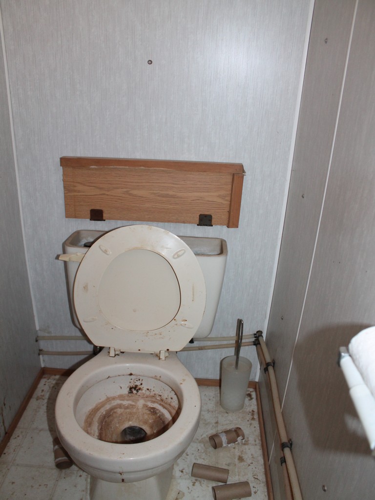 1773_1116.jpg