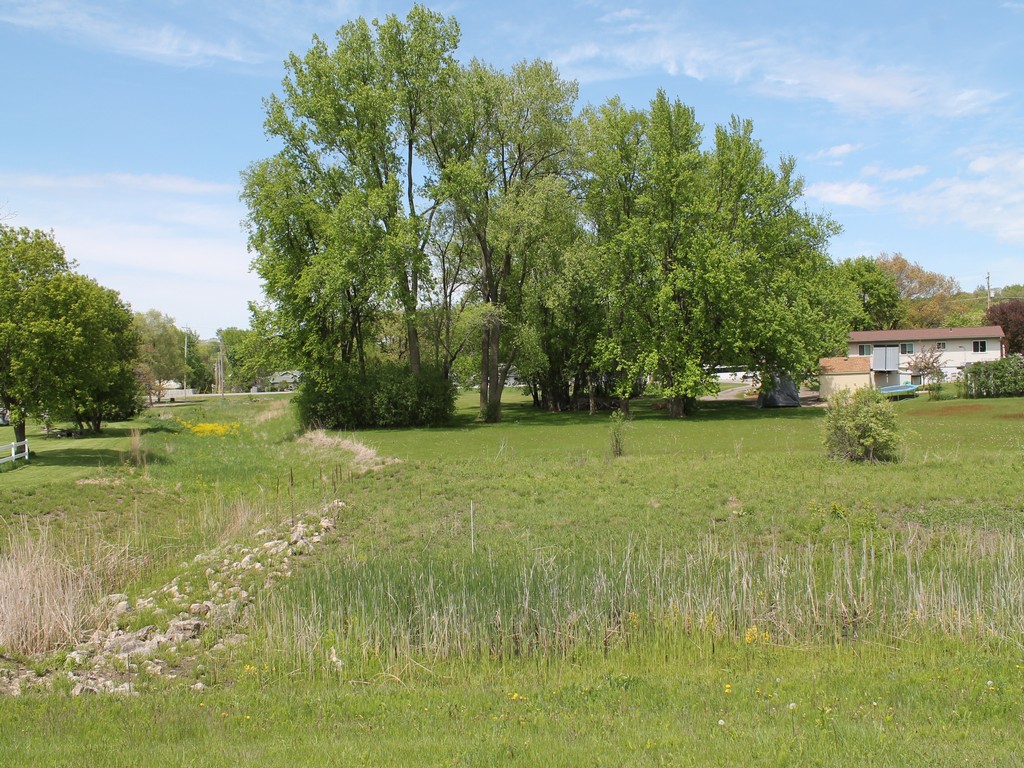 1783_0140.jpg