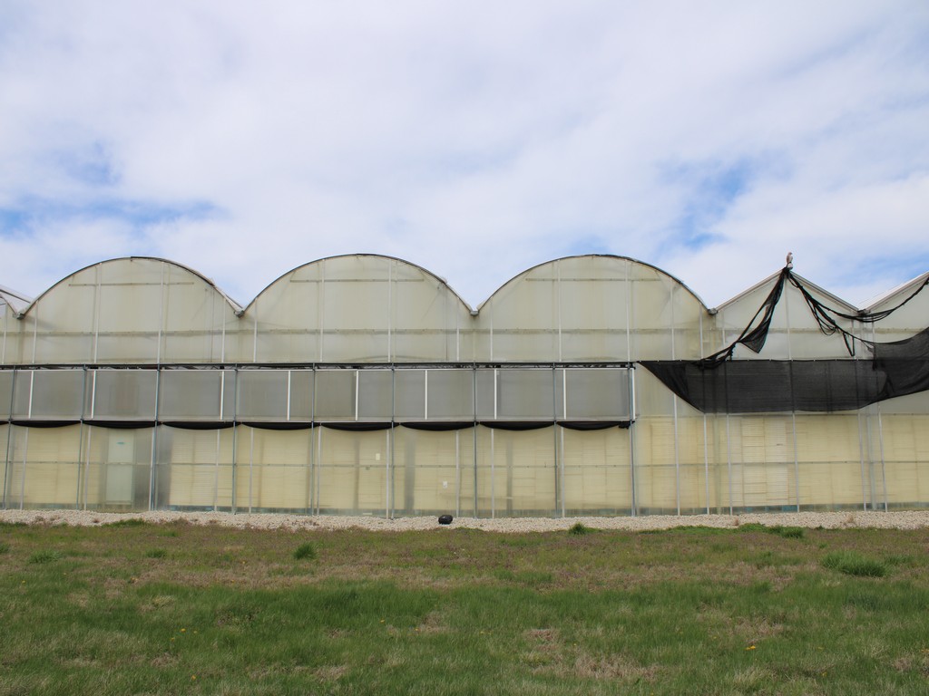 1791_0143.jpg