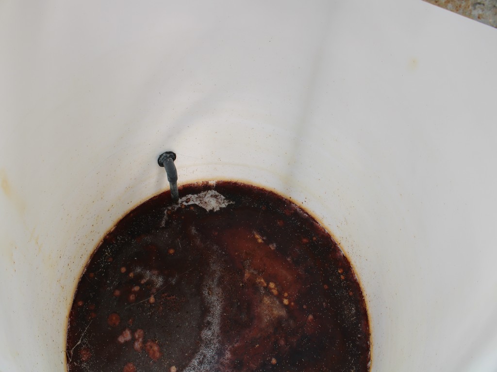 1791_0416.jpg