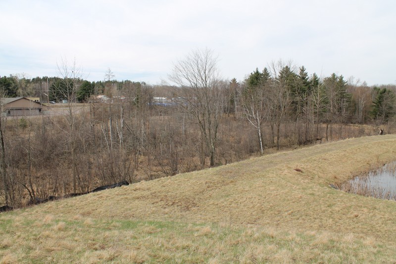1795_0449.jpg